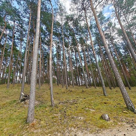 Lesna Ostoja W Centrum Puszczy Nadnoteckiej Otoczona 3 Jeziorami Miedzychod Exteriér fotografie